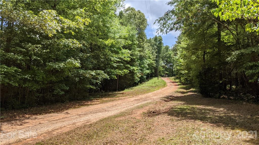 1581 Goings Road Chester, SC 29706 - Photo 20 of 27 a view of a yard with plants and trees