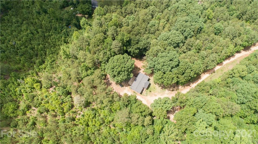 1581 Goings Road Chester, SC 29706 - Photo 21 of 27 a view of a forest with a tree