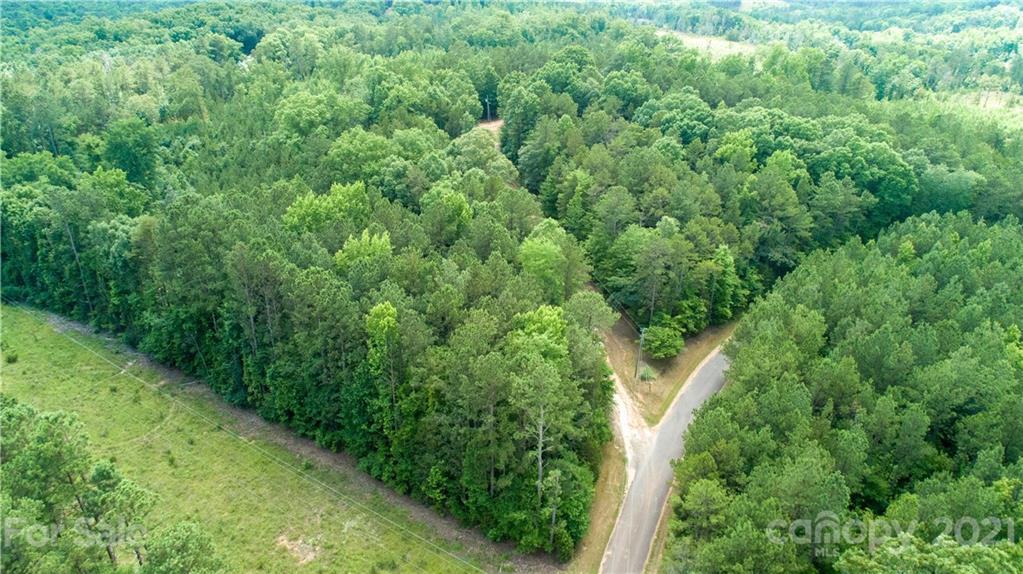 1581 Goings Road Chester, SC 29706 - Photo 23 of 27 a view of a forest with a tree