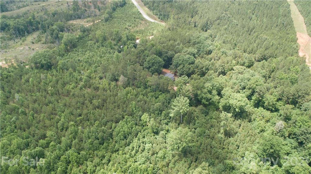 1581 Goings Road Chester, SC 29706 - Photo 27 of 27 a view of a lush green forest with large trees