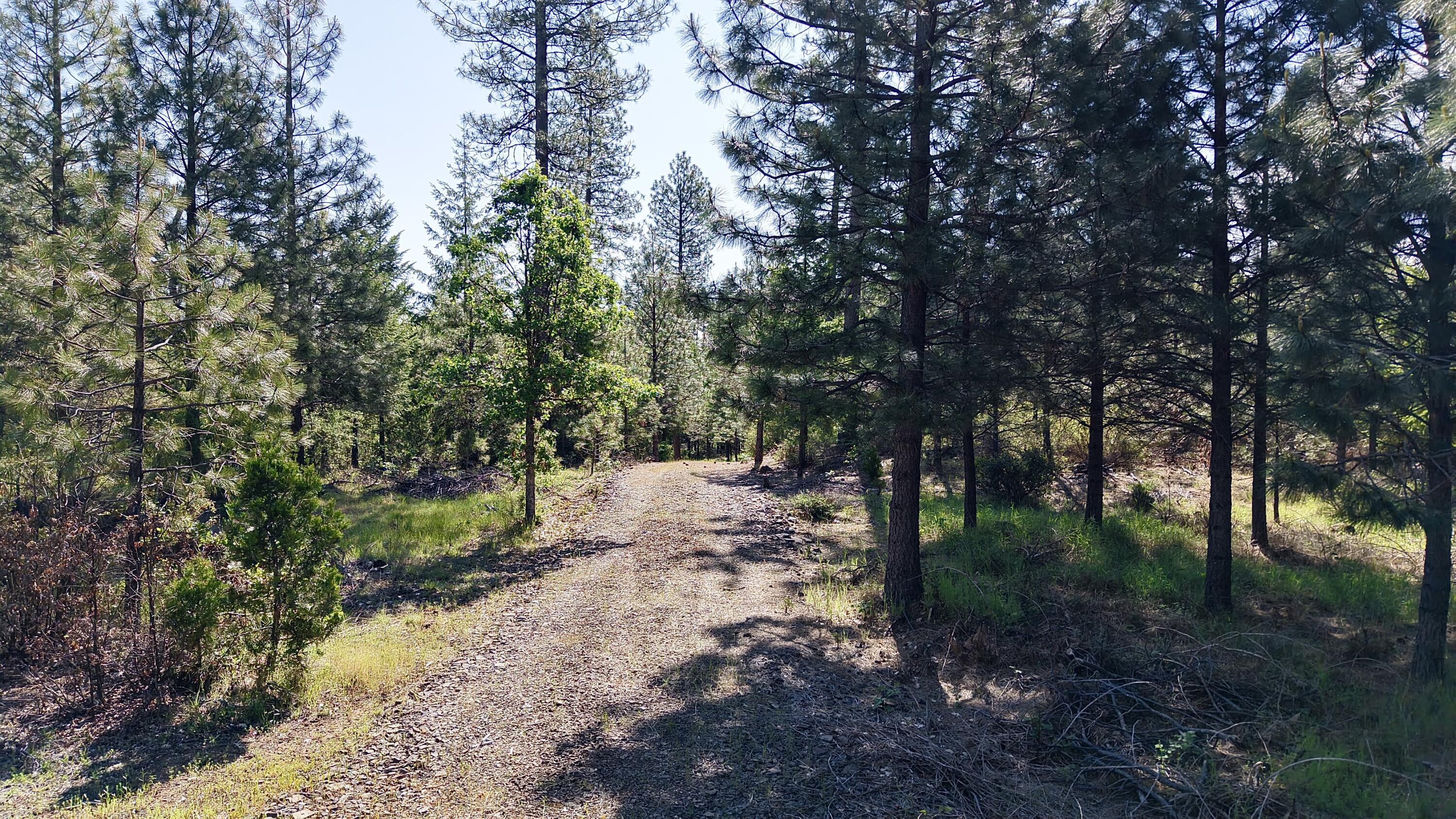 Ulrich Road Prospect, OR 97536 - Photo 8 of 14 Property