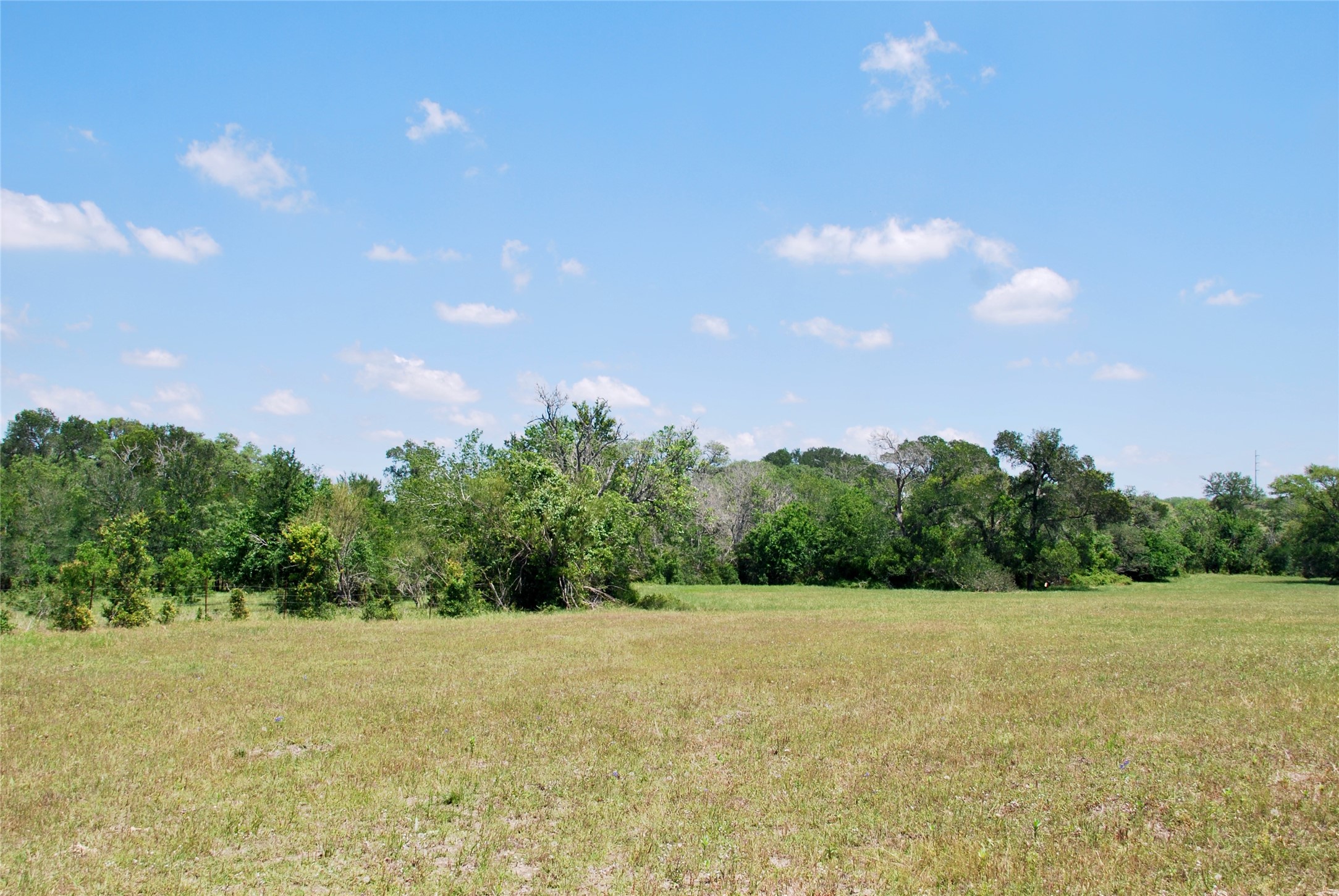 3703 Muehr Road Weimar, TX 78962 - Photo 19 of 29
