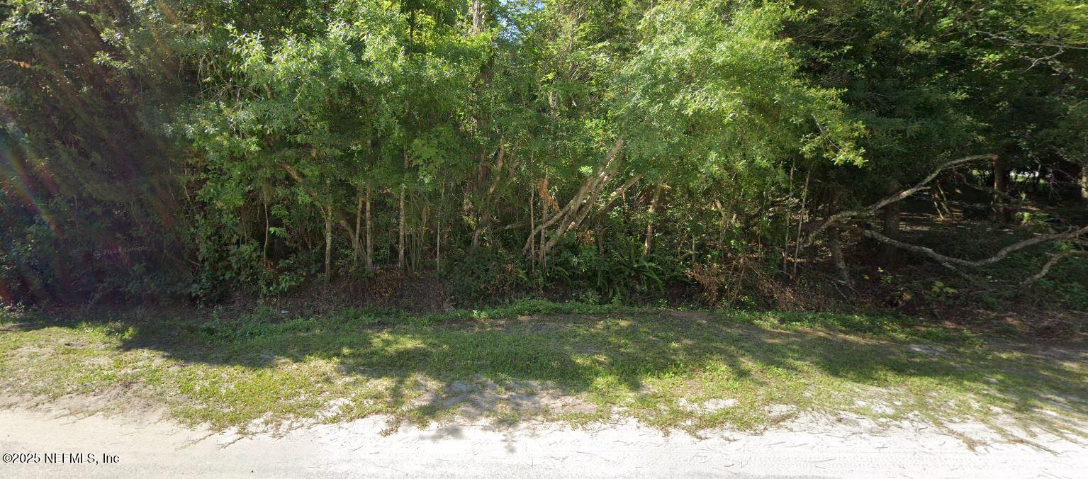1285 Thompson Bailey Road St. Augustine, FL 32084 - Photo 3 of 5 a view of a yard