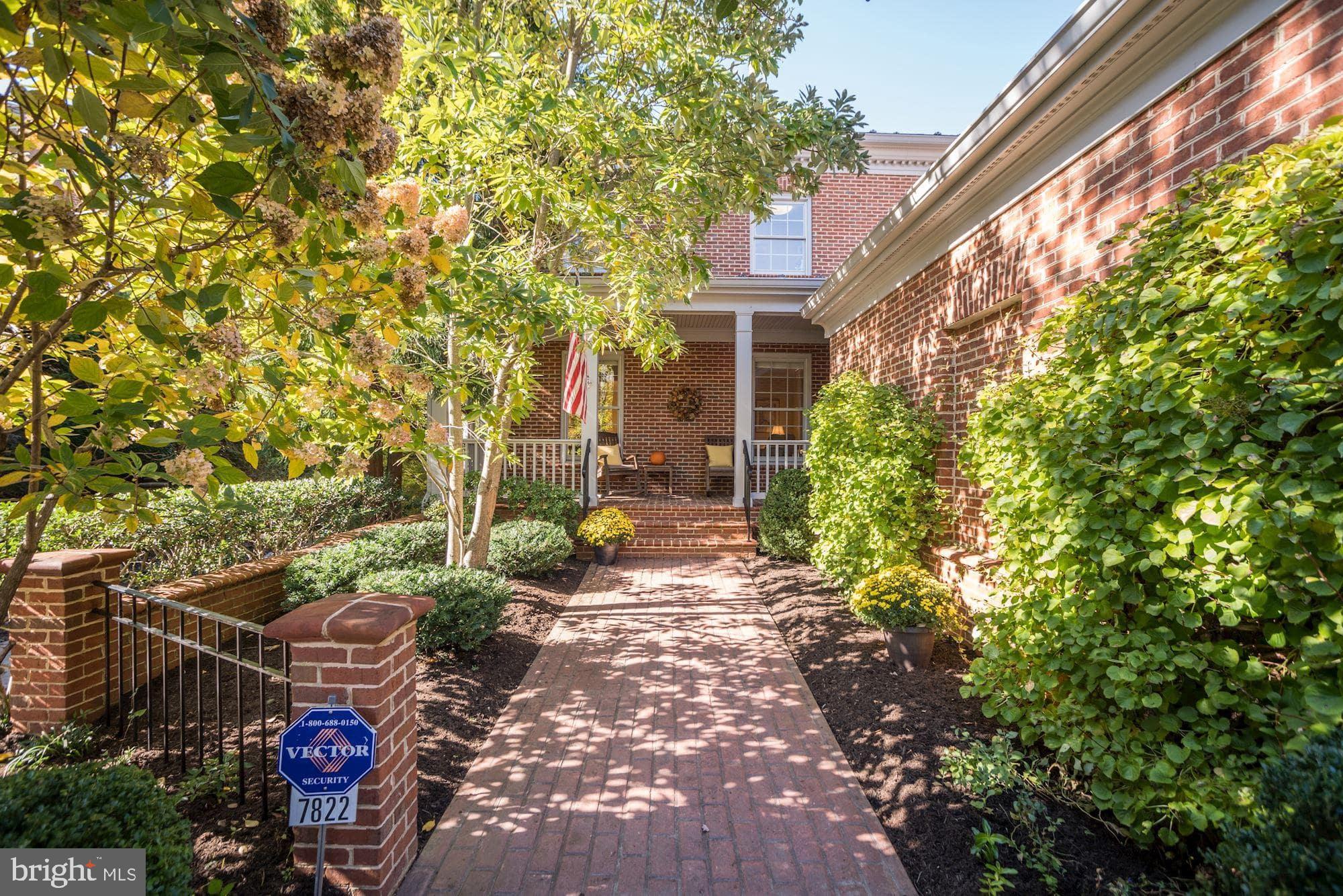 a view of a back yard