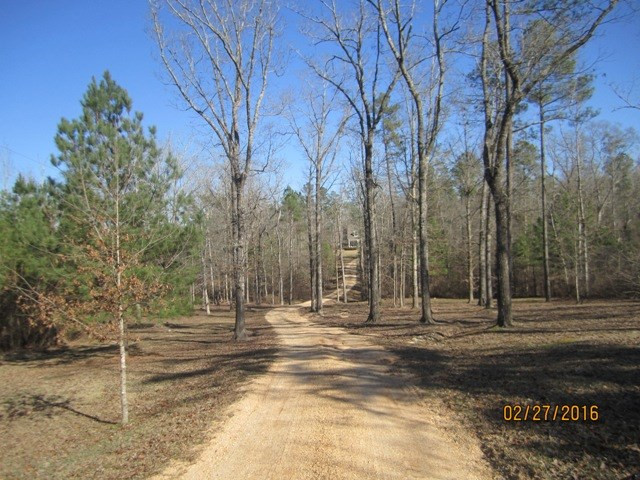 317 Rose Hill Road Mendenhall, MS 39114 - Photo 2 of 45 Photo 2