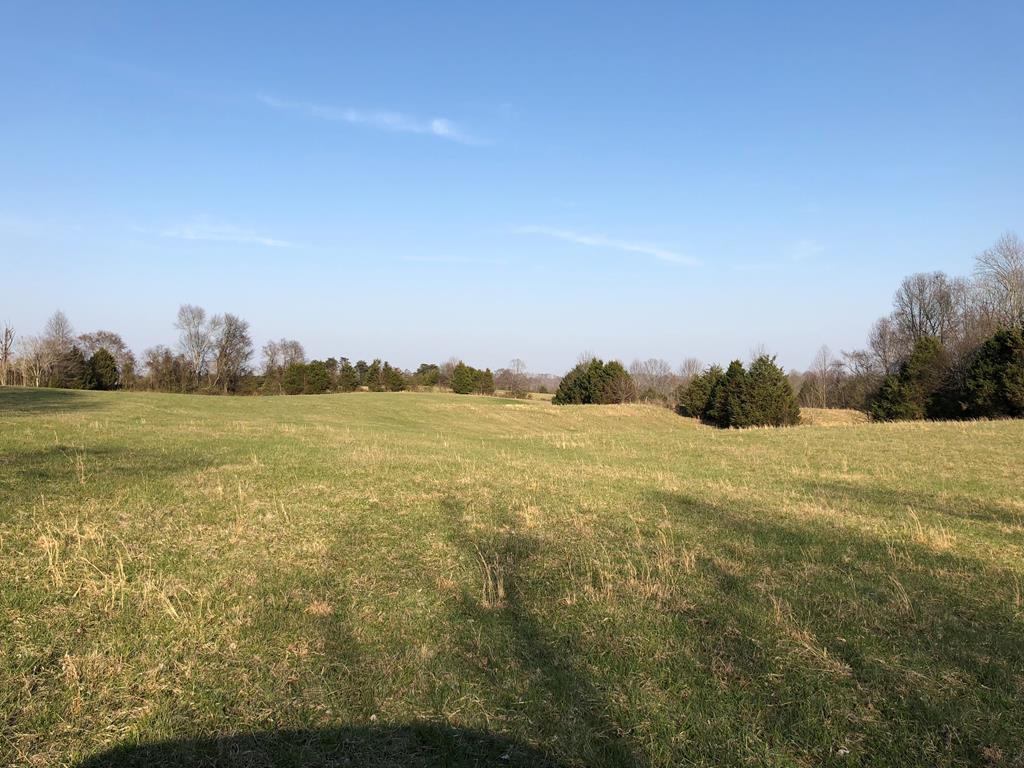 950 Johnney Harvey Road Breeding, KY 42715 - Photo 9 of 26 Gallery Image 9