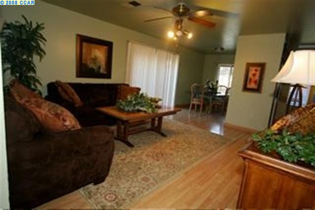 2011 Olivera Road, Unit A Concord, CA 94520 - Photo 1 of 1 a living room with furniture and a potted plant