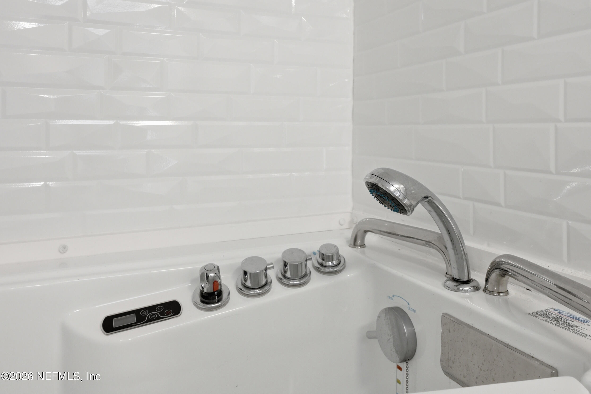 574 Hall Road Green Cove Springs, FL 32043 - Photo 29 of 60 Owners Hand Held Shower