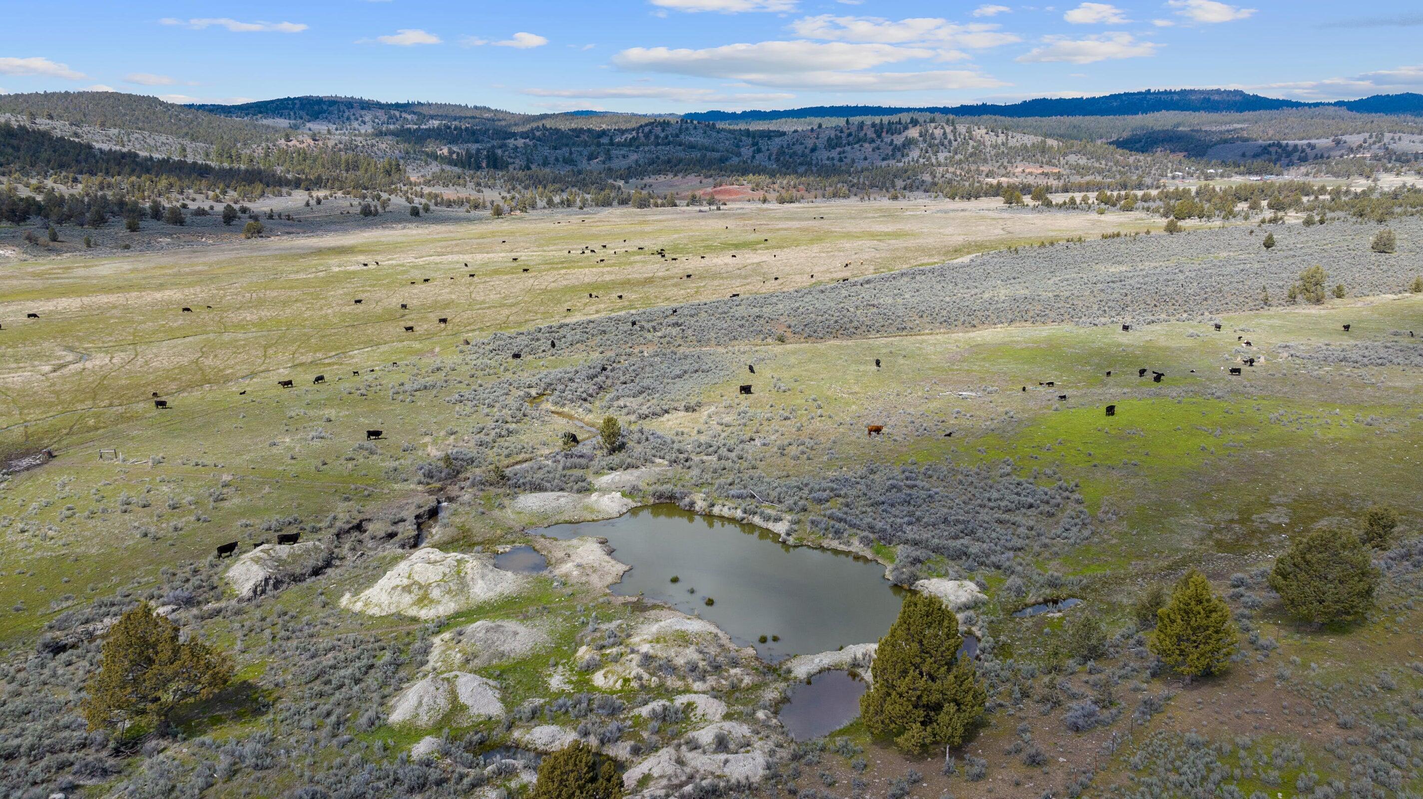 33800 Tackman Road Prineville, OR 97754 - Photo 8 of 10 8