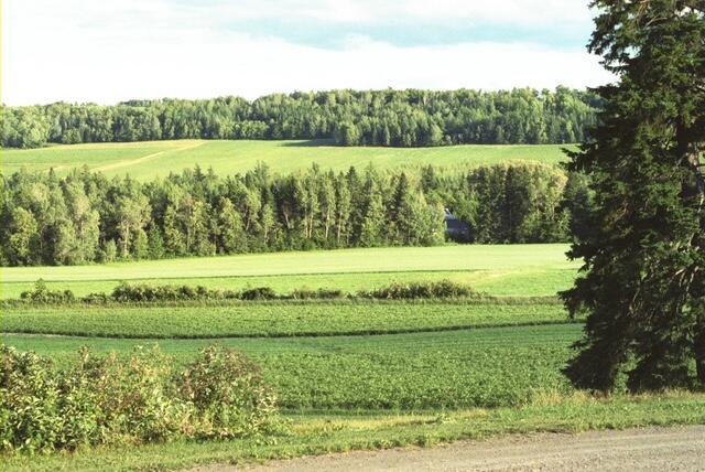 558 Center Limestone Road Fort Fairfield, ME 04742 - Photo 48 of 55 558 Center Limestone Rd supplemental pic