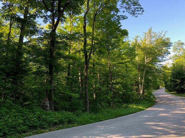 Wisconsin Bay Road Ellison Bay, WI 54210 - Photo 1 of 1