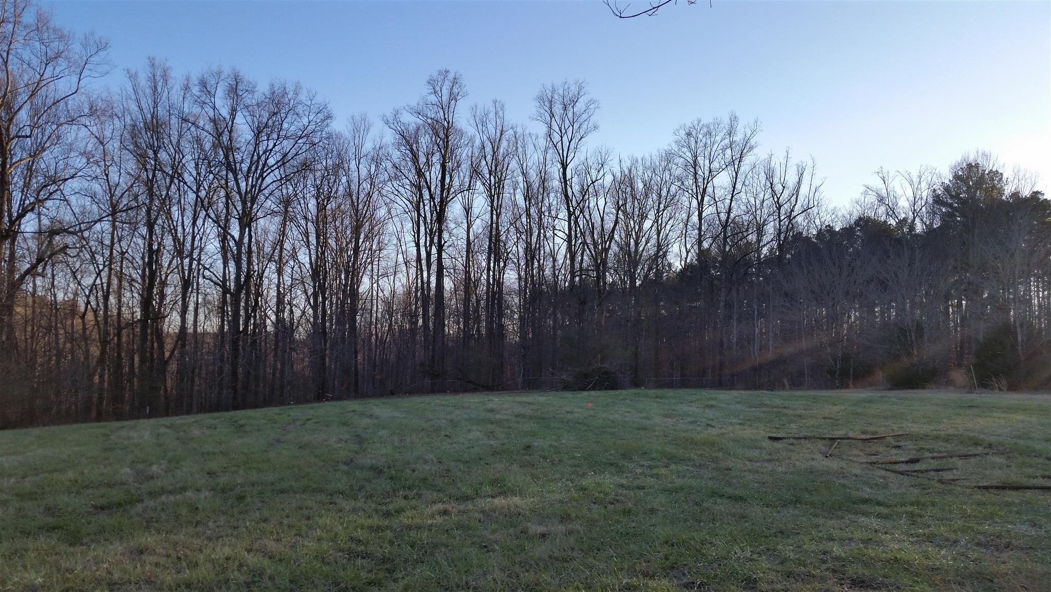 4 Hunting Camp Road Fairview, TN 37062 - Photo 1 of 3 a view of backyard with trees