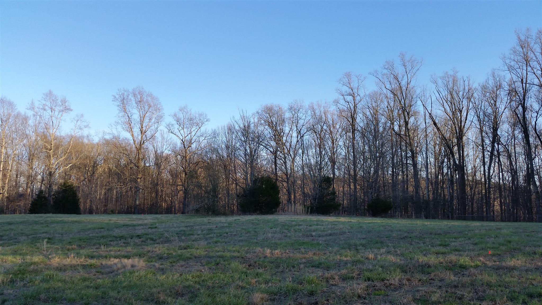 4 Hunting Camp Road Fairview, TN 37062 - Photo 2 of 3 a view of backyard with green space