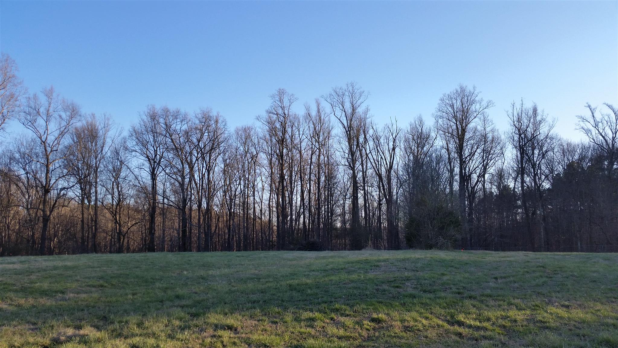 4 Hunting Camp Road Fairview, TN 37062 - Photo 3 of 3 a view of yard with trees