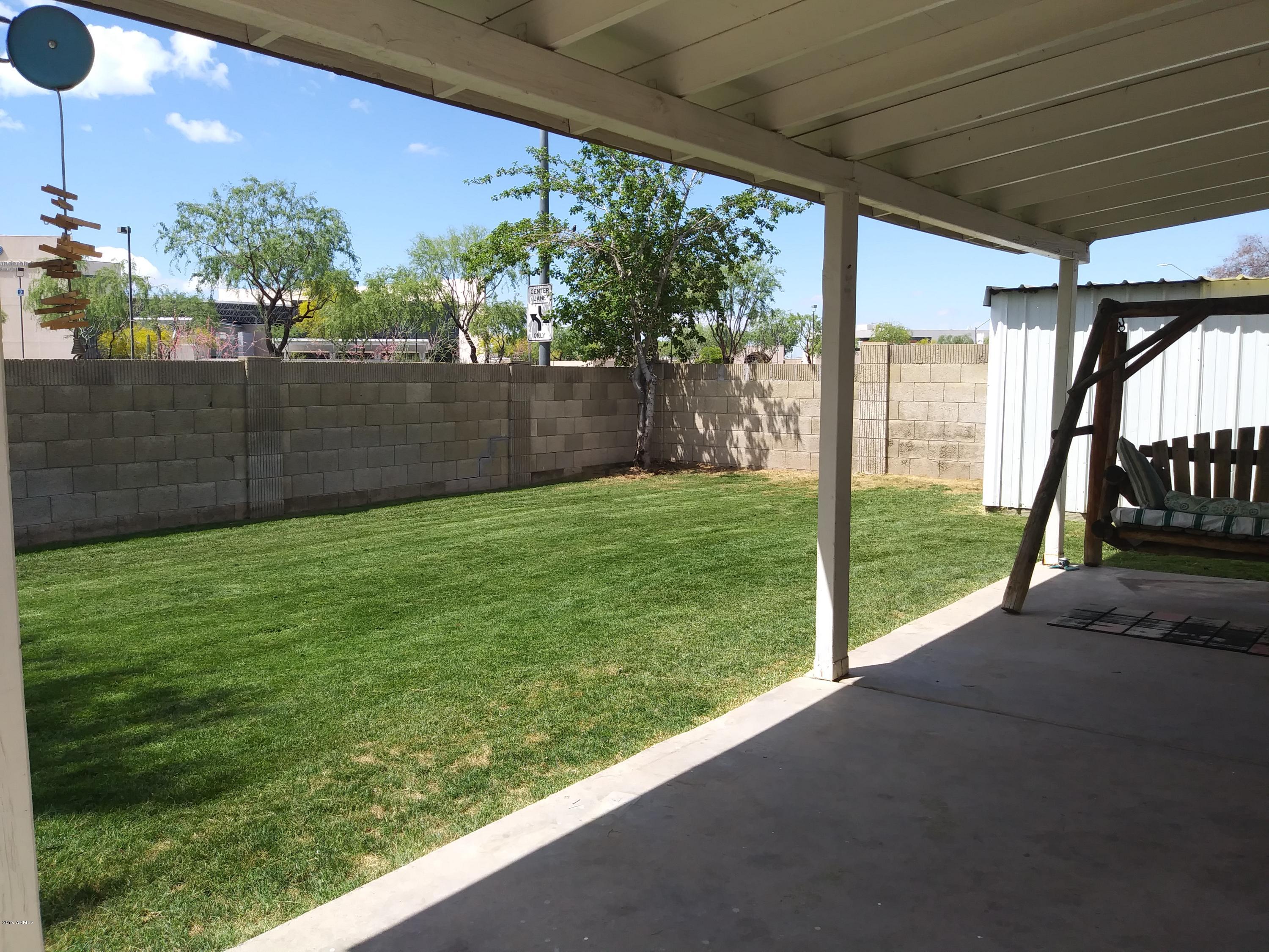 Beautiful grass back yard
