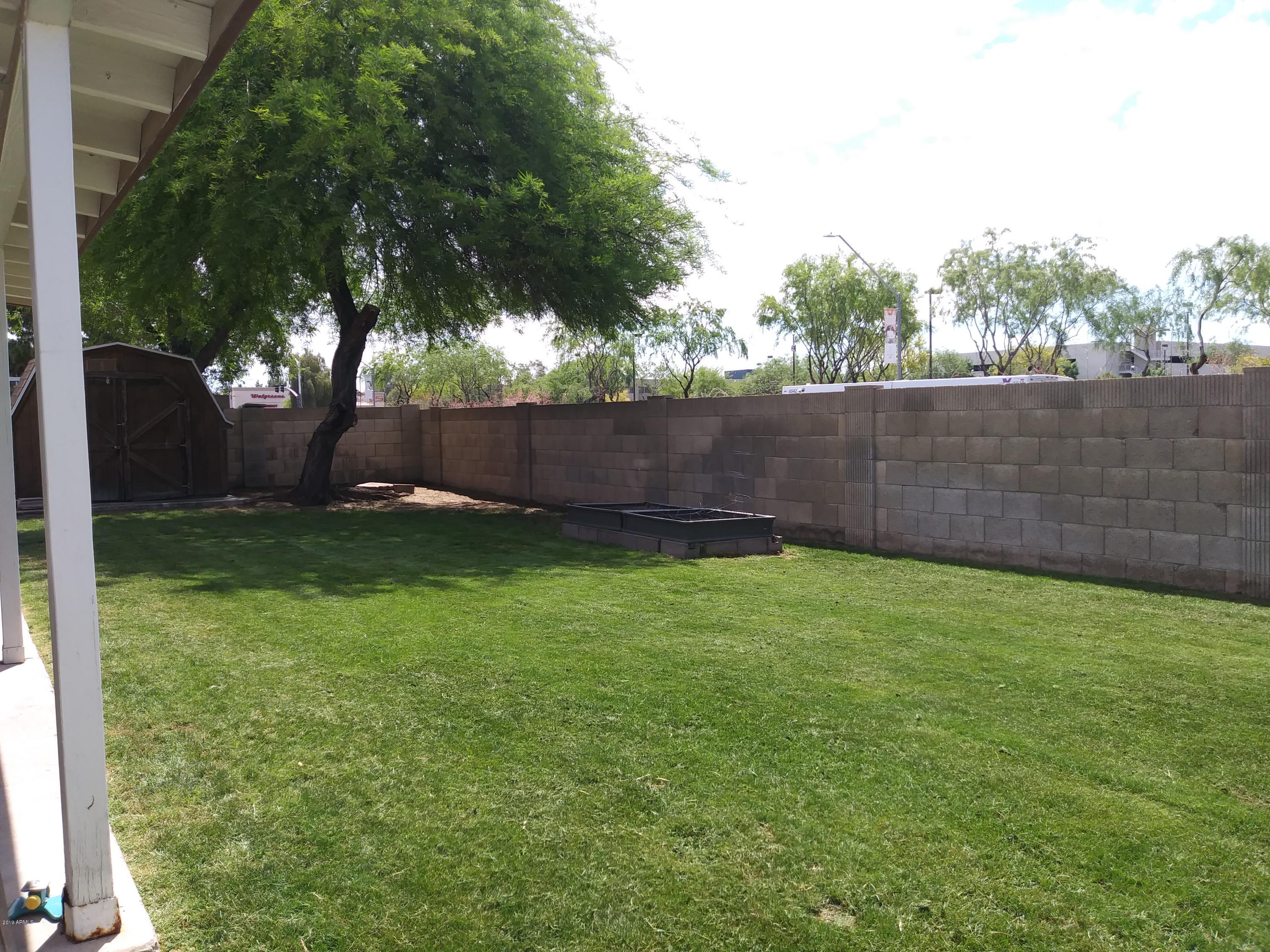 Nice shade tree and raised garden too