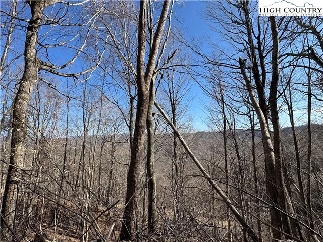 a view of a yard with a house