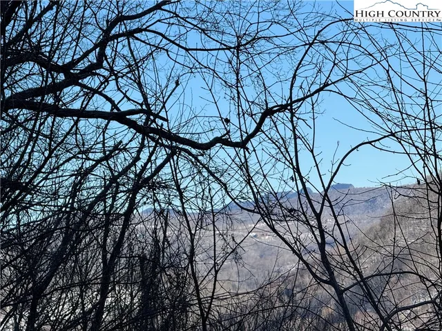 a backyard of a house with lots of trees