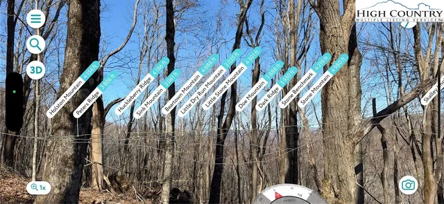 a view of a walk in a backyard