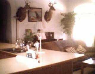 25455 Hammerstone Road Franklinton, LA 70438 - Photo 3 of 8 Gallery Image 3
