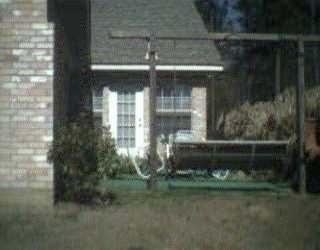 25455 Hammerstone Road Franklinton, LA 70438 - Photo 5 of 8 Gallery Image 5