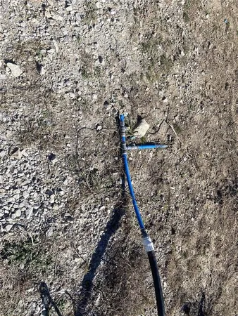 a view of a wooden wall with a tree