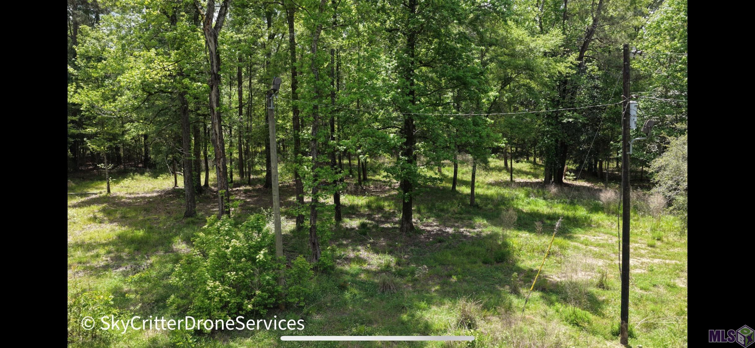 5392 Gilead Road Clinton, LA 70722 - Photo 11 of 16