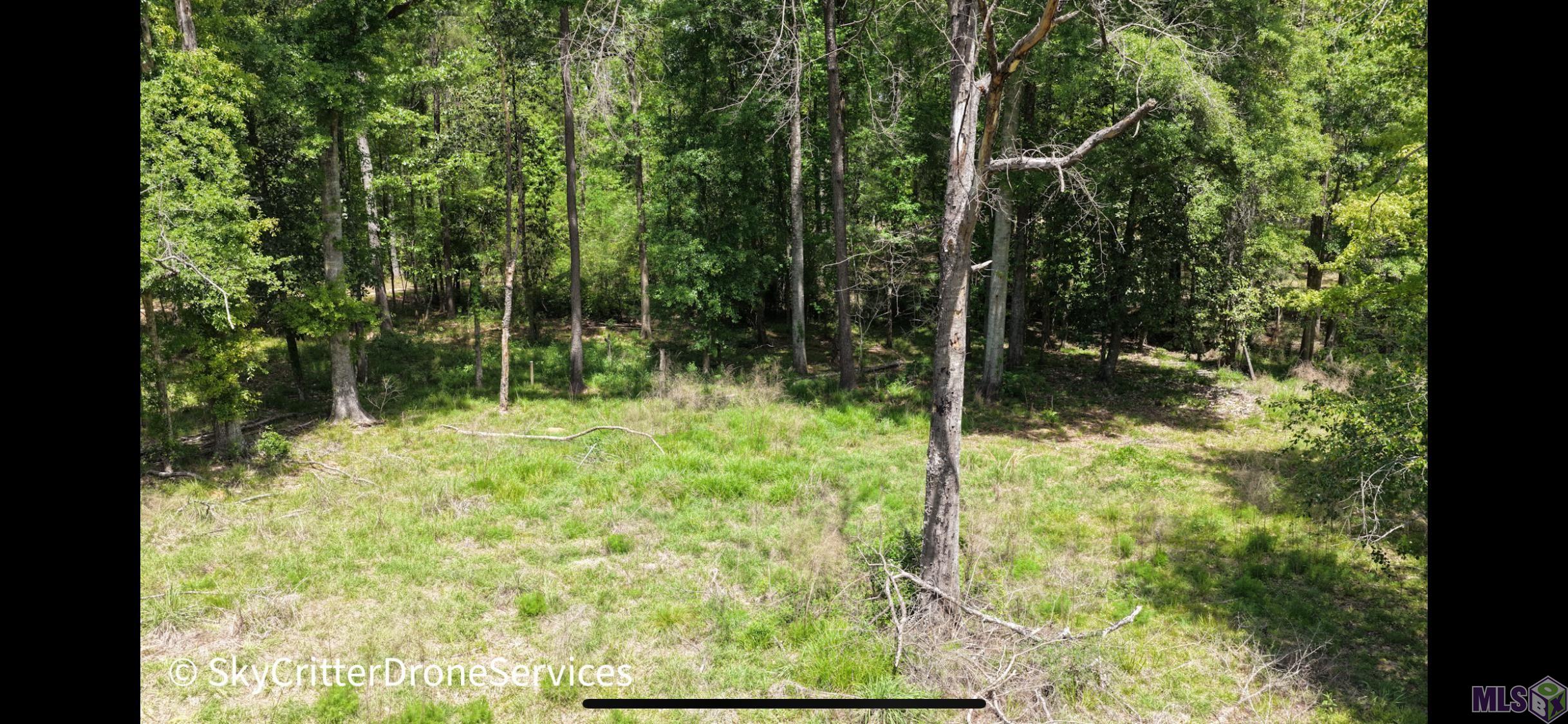 5392 Gilead Road Clinton, LA 70722 - Photo 13 of 16