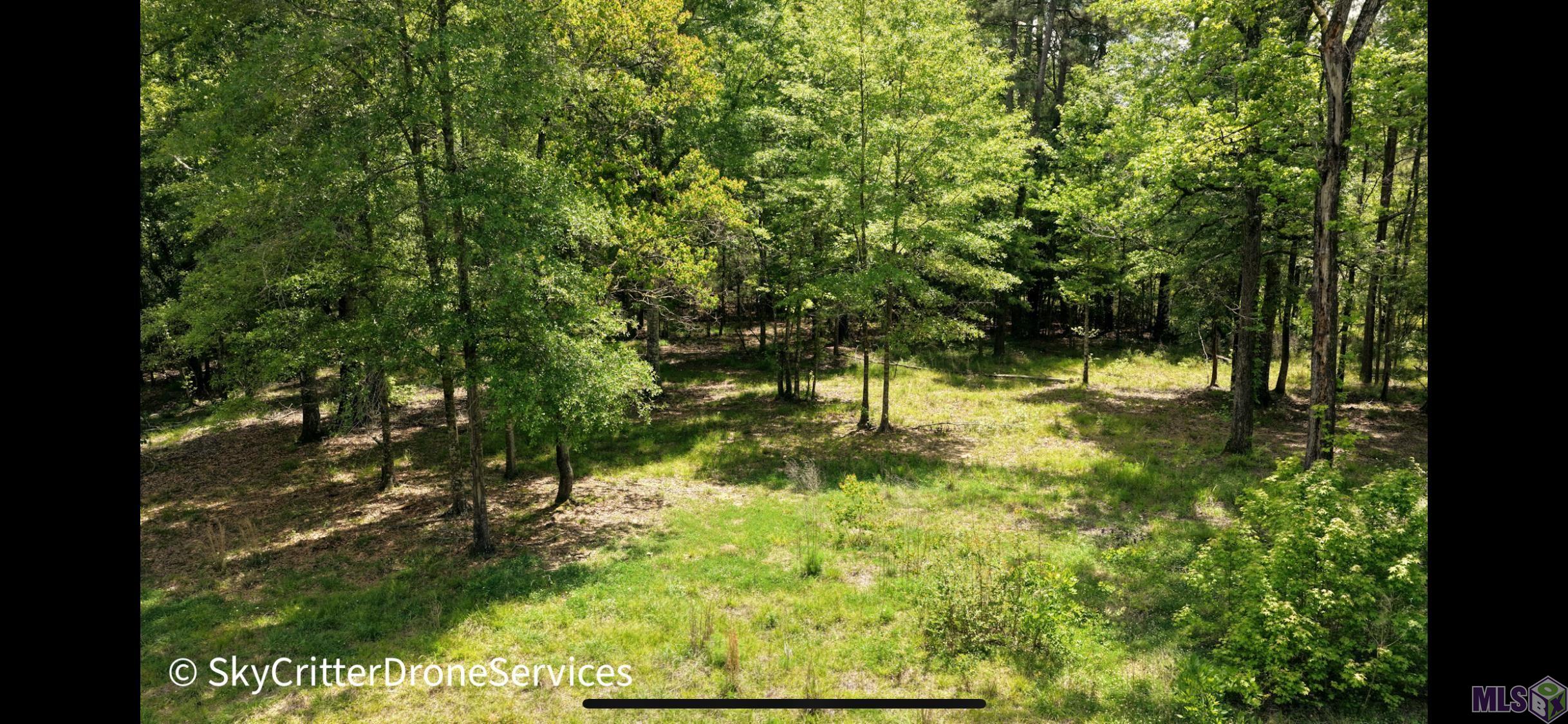 5392 Gilead Road Clinton, LA 70722 - Photo 15 of 16