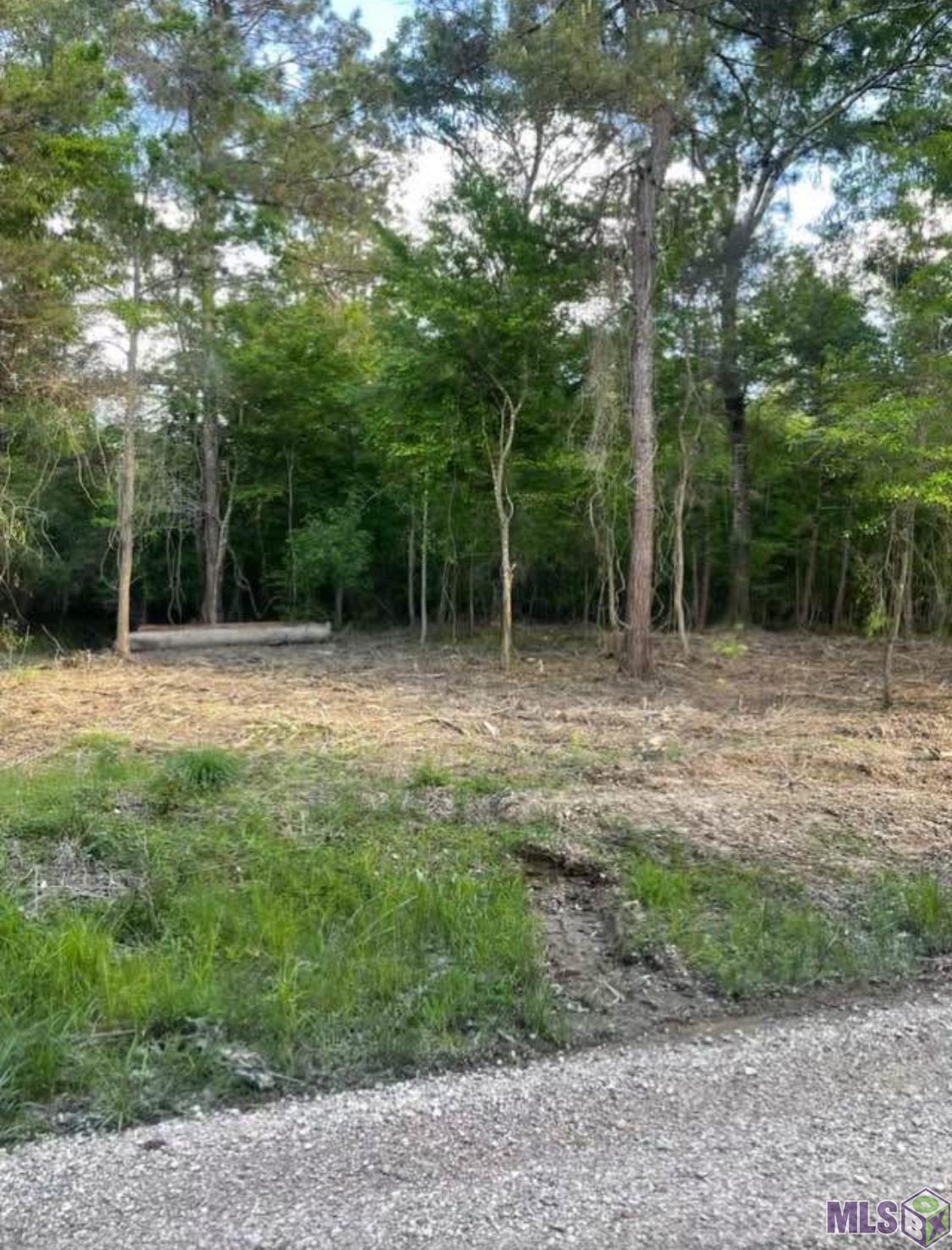5392 Gilead Road Clinton, LA 70722 - Photo 16 of 16