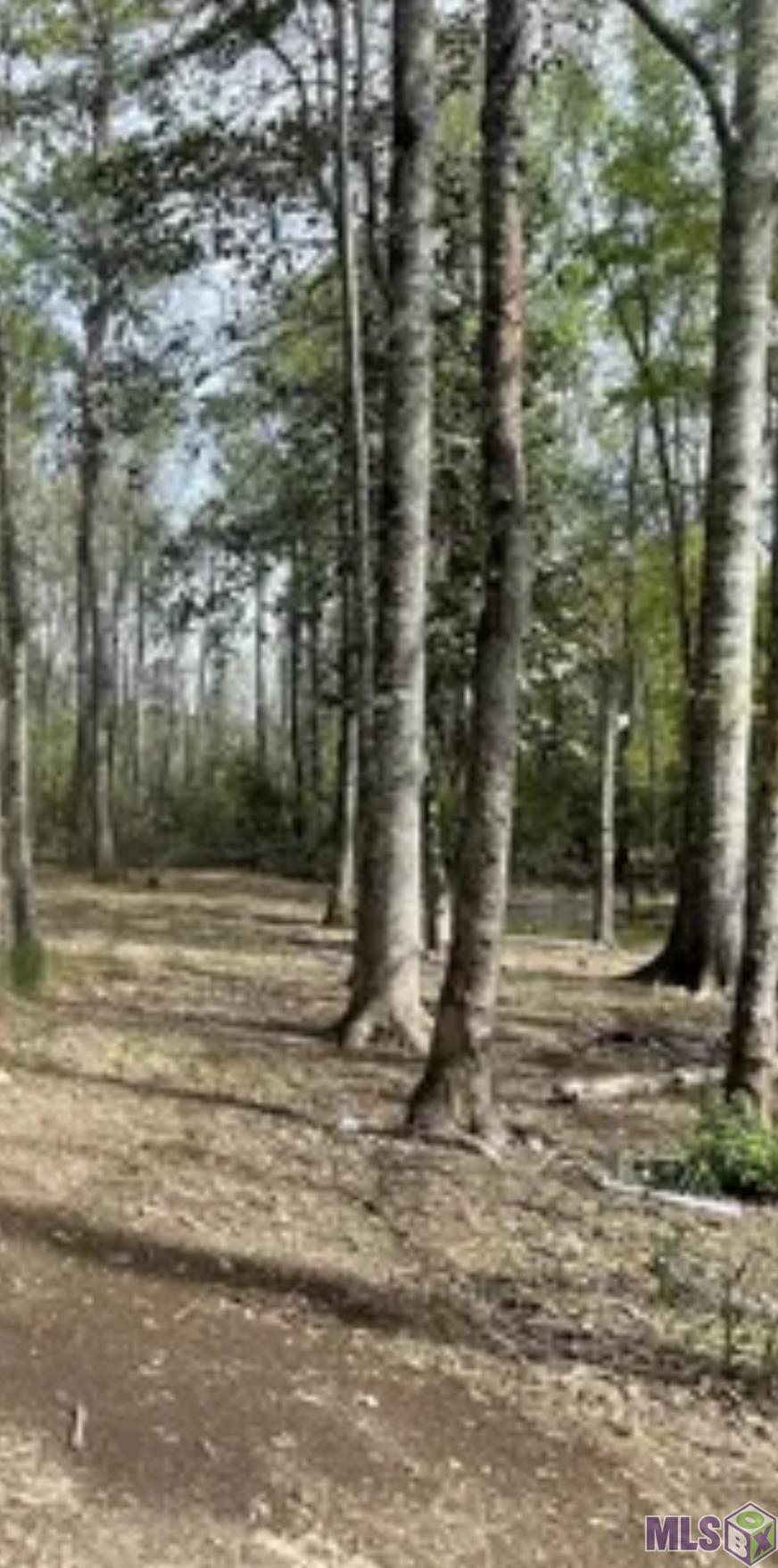 5392 Gilead Road Clinton, LA 70722 - Photo 3 of 16
