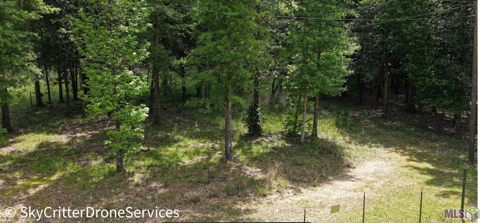5392 Gilead Road Clinton, LA 70722 - Photo 10 of 16