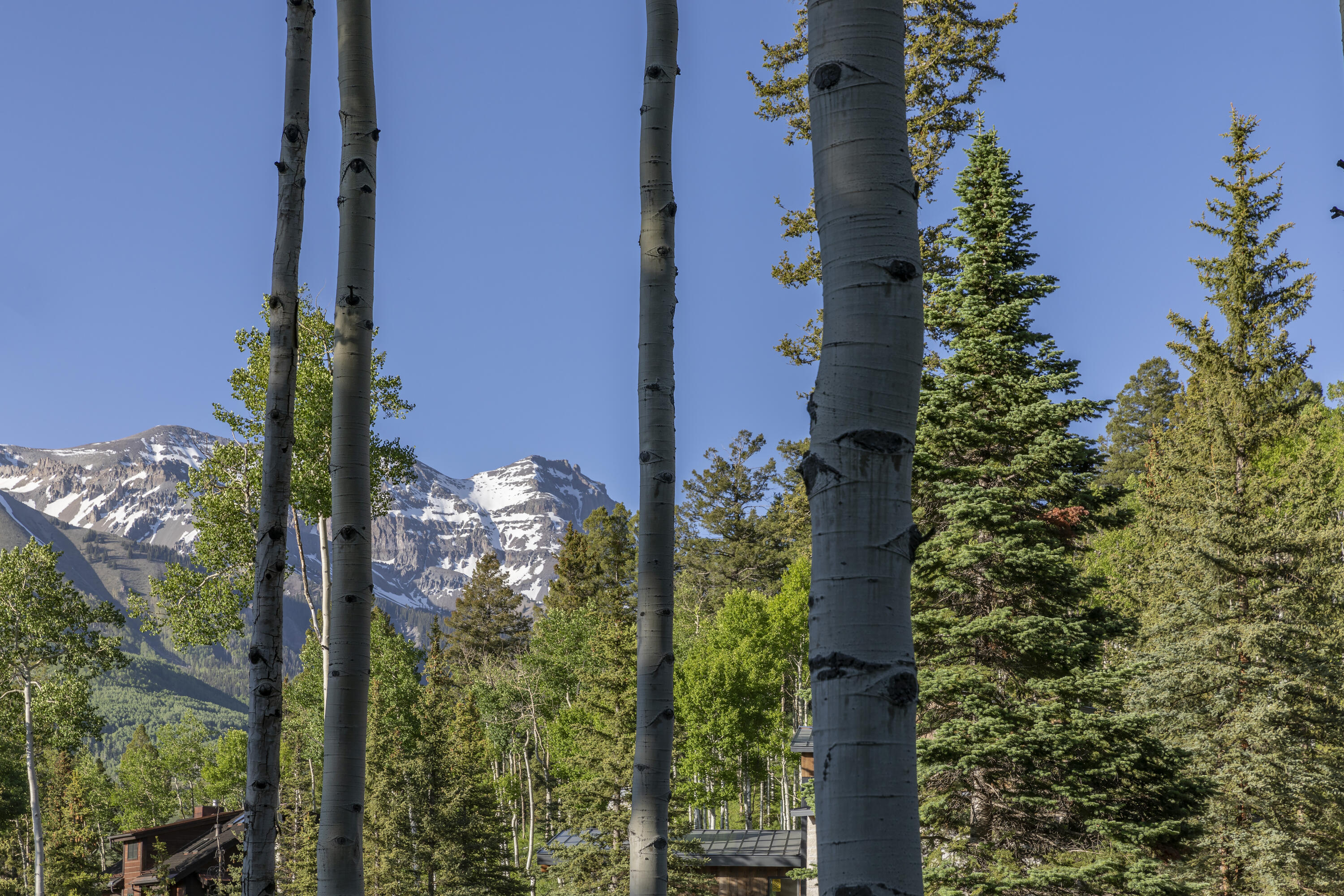 Tbd Adams Way Telluride, CO 81435 - Photo 4 of 14