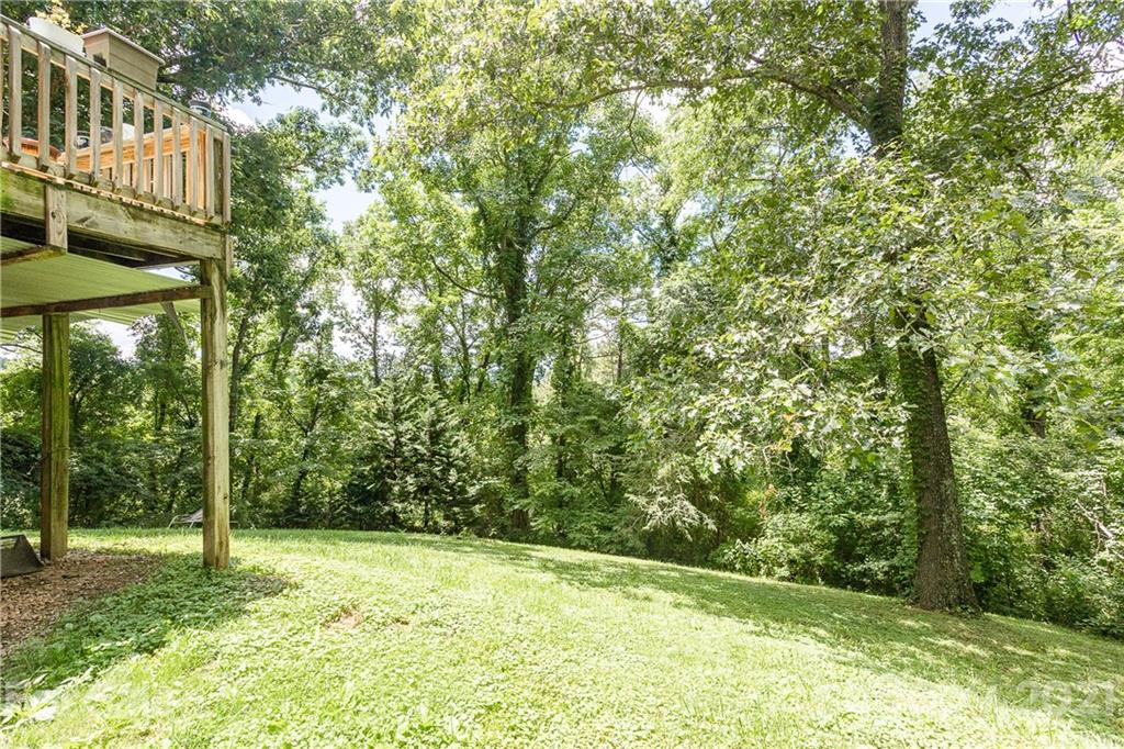 507 Vision Road Canton, NC 28716 - Photo 38 of 39 a view of a yard with plants and trees