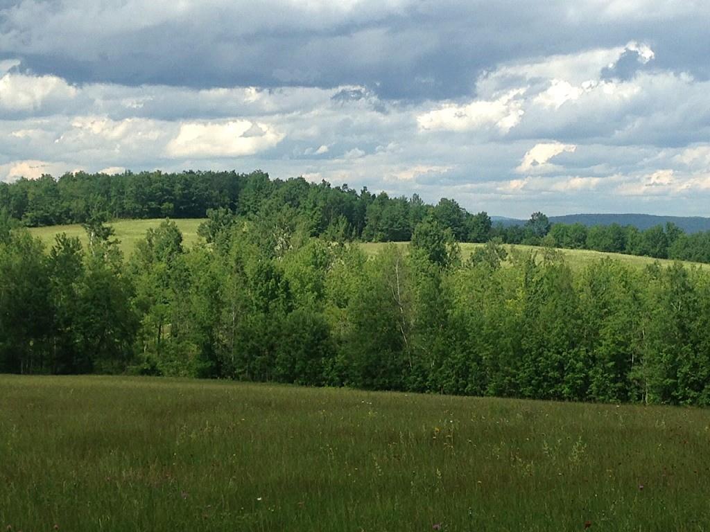 0 North Village View Road Jay, ME 04239 - Photo 2 of 6 Photo