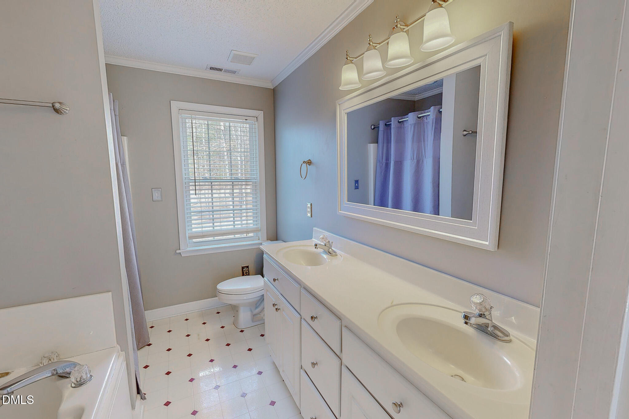 202 Equestrian Chase Rougemont, NC 27572 - Photo 33 of 54 a bathroom with a sink a toilet and a mirror