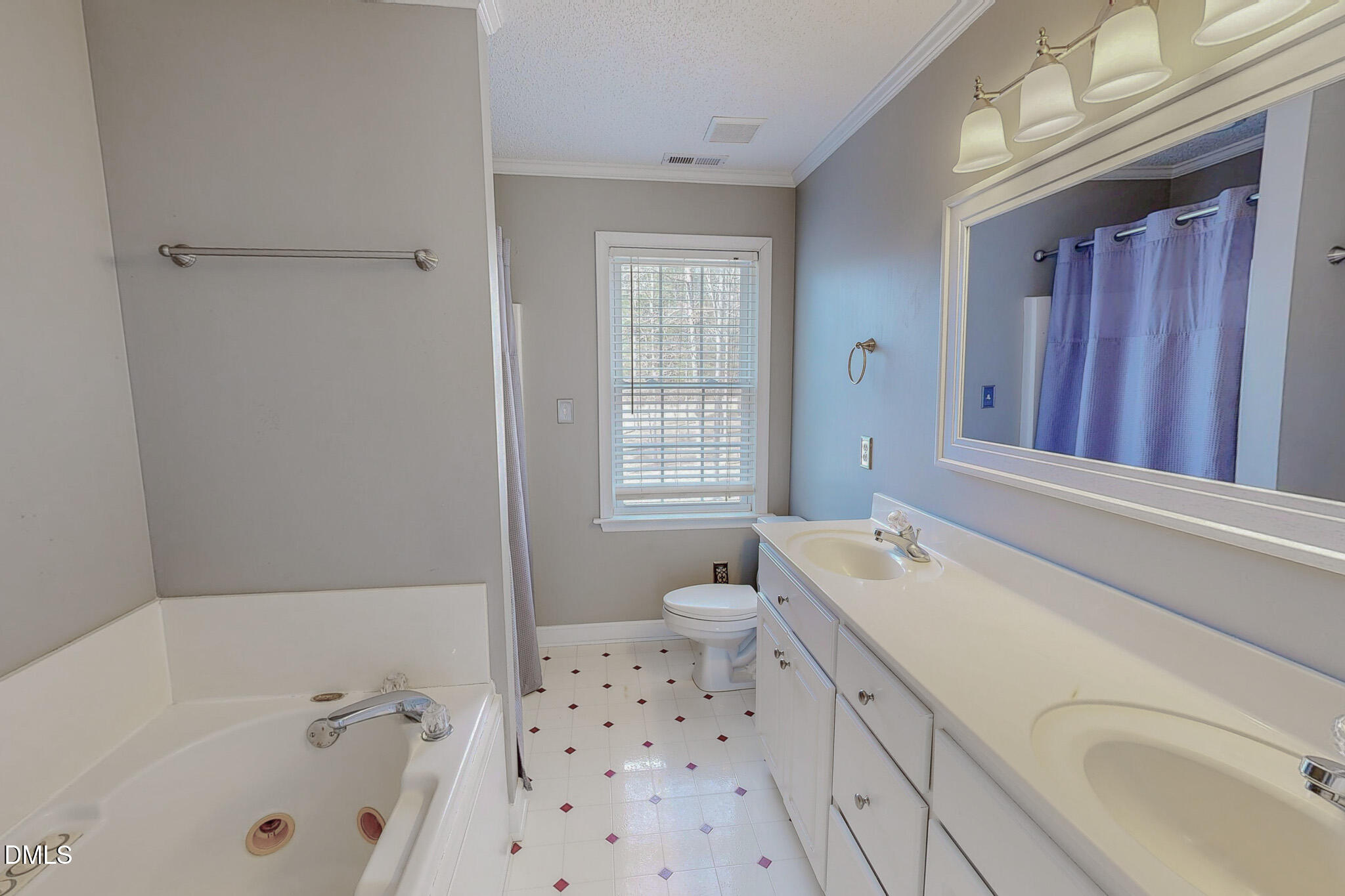 202 Equestrian Chase Rougemont, NC 27572 - Photo 34 of 54 a bathroom with a sink a toilet and shower