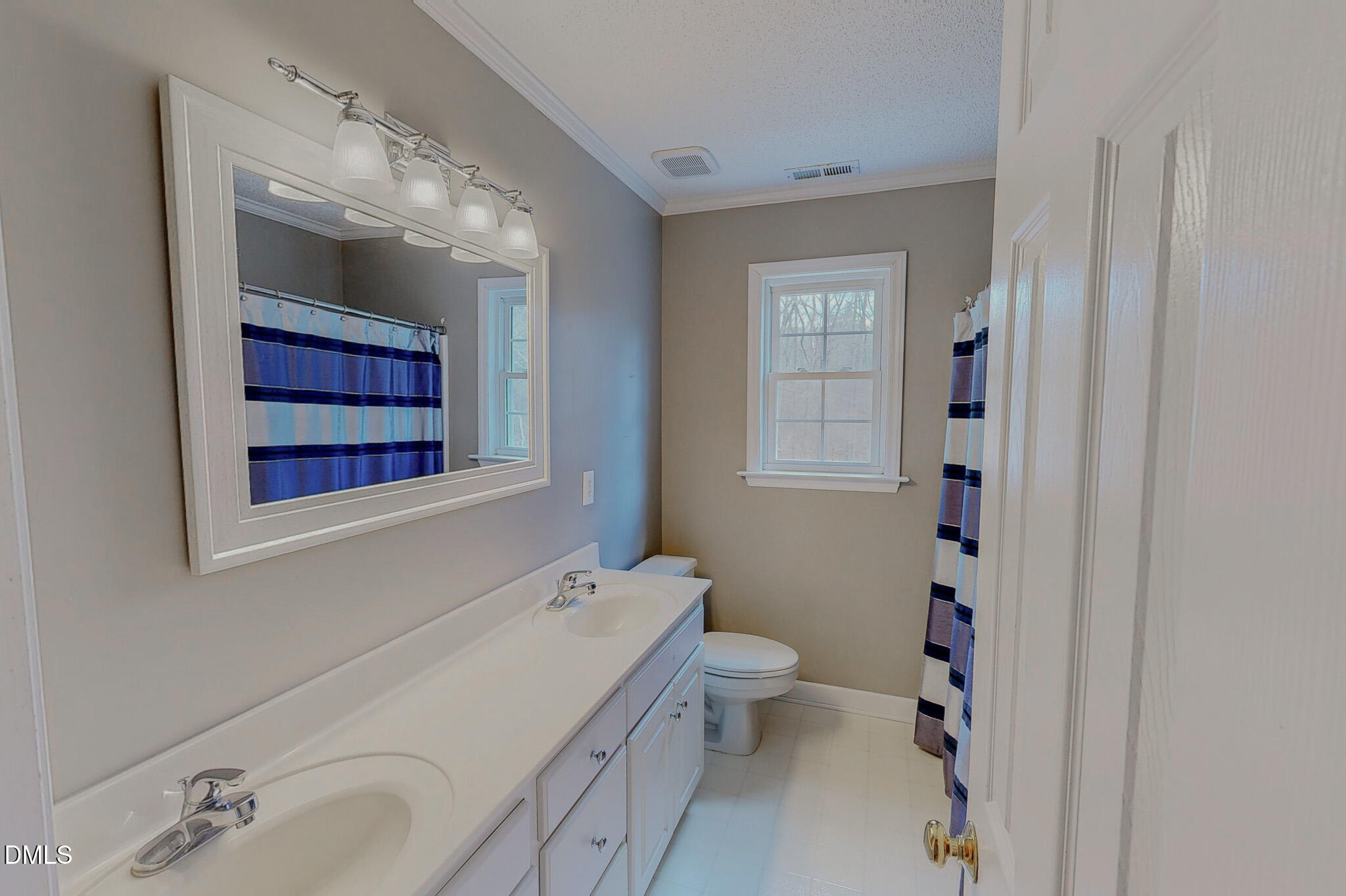 202 Equestrian Chase Rougemont, NC 27572 - Photo 37 of 54 a bathroom with a toilet sink and mirror