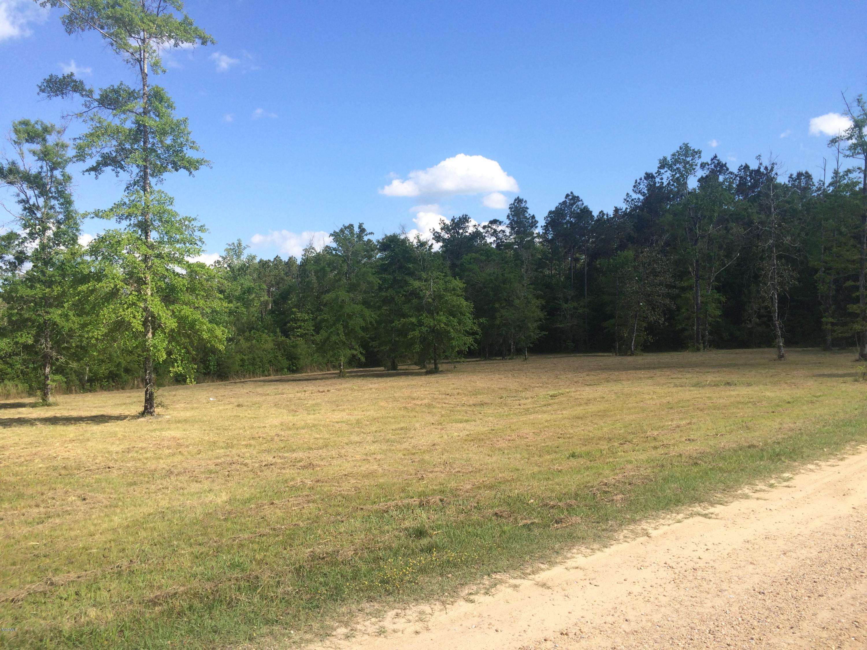 9.3-acres R Moran Road McHenry, MS 39561 - Photo 1 of 17 IMG_3574