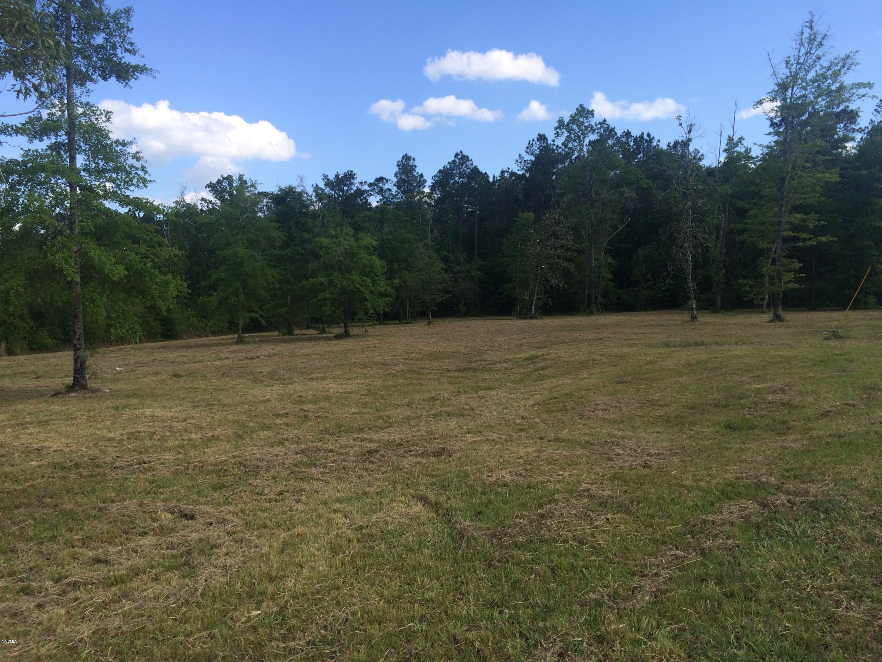 9.3-acres R Moran Road McHenry, MS 39561 - Photo 11 of 17 IMG_3588
