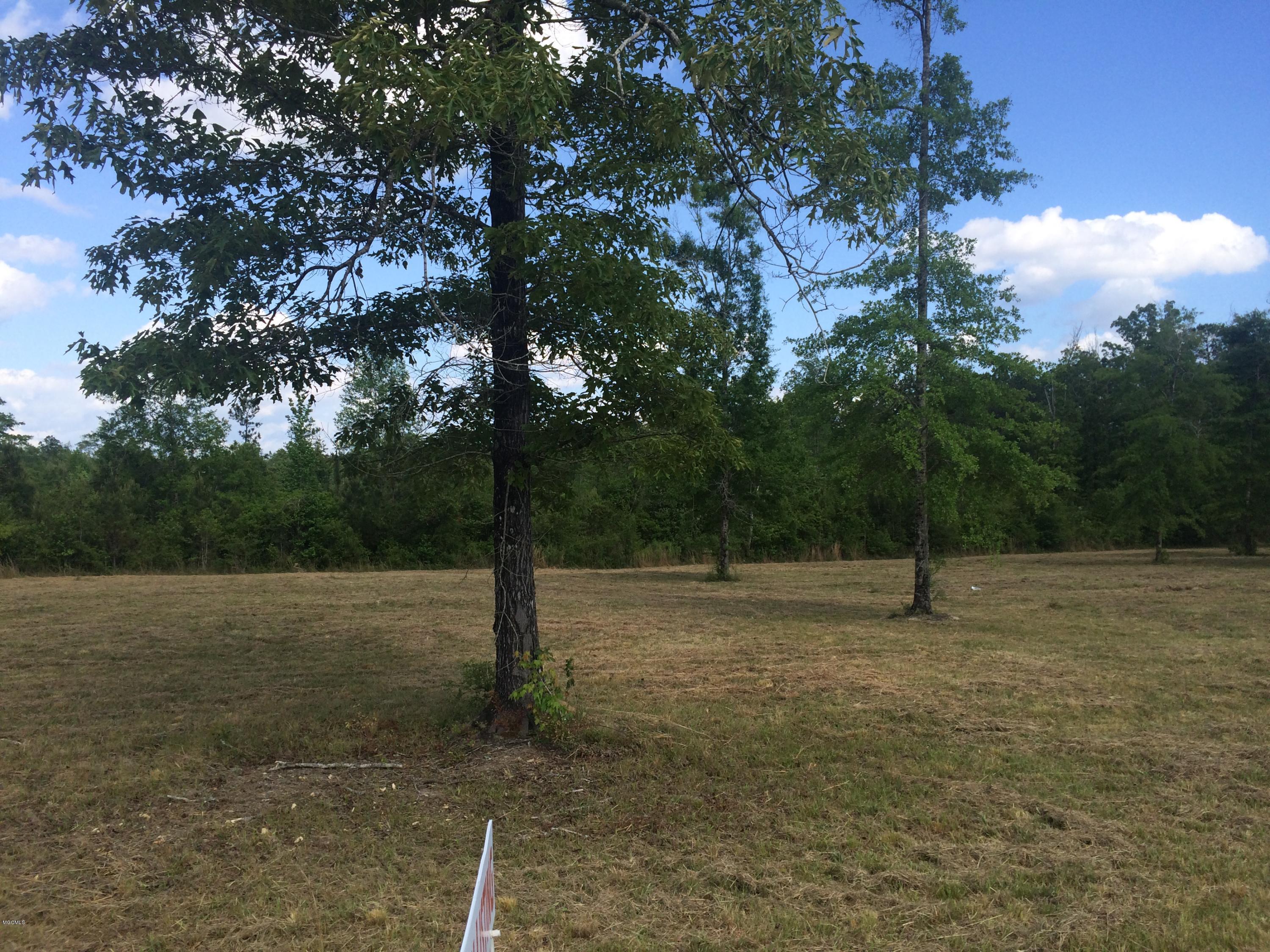 9.3-acres R Moran Road McHenry, MS 39561 - Photo 12 of 17 IMG_3589
