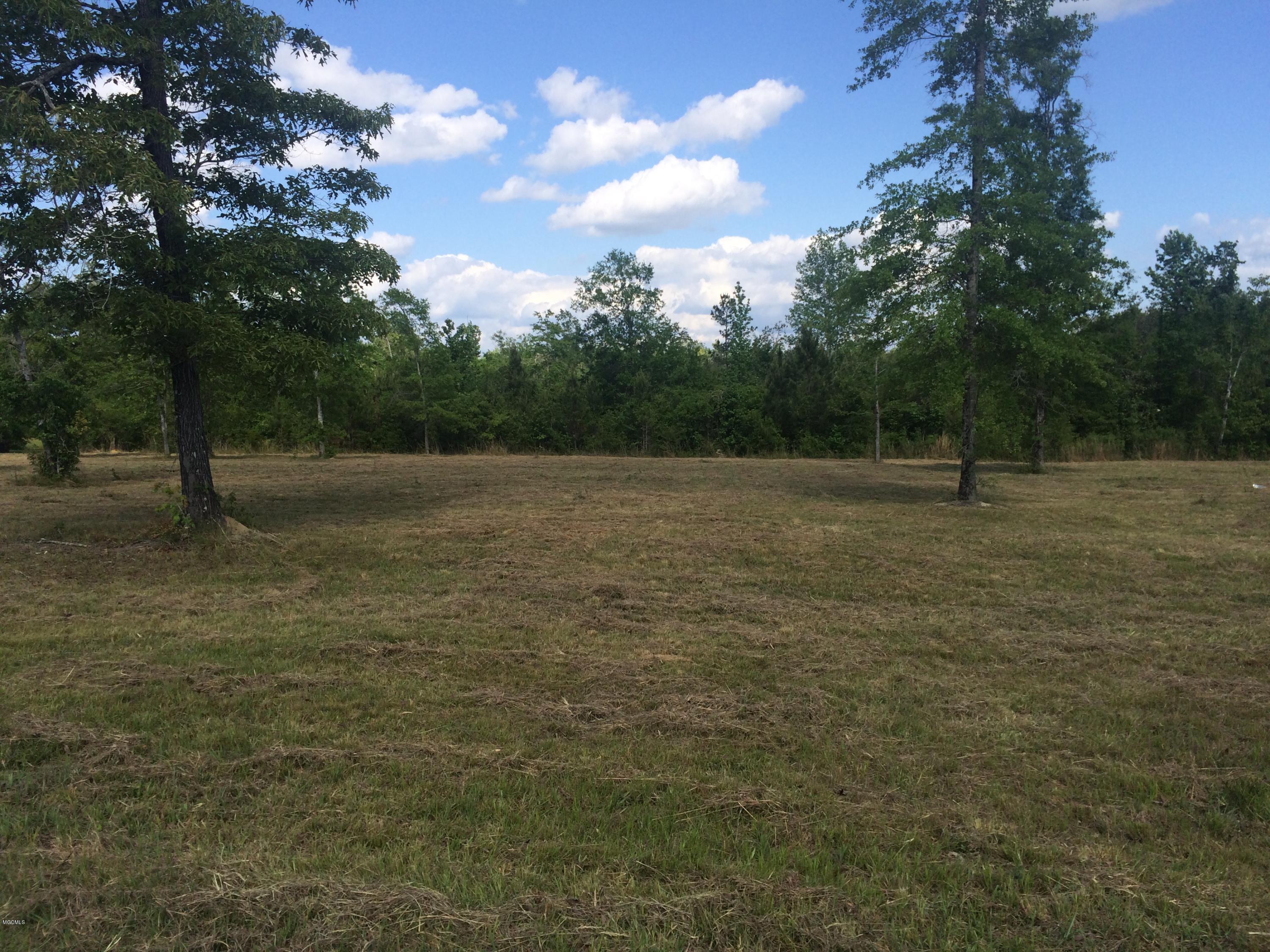 9.3-acres R Moran Road McHenry, MS 39561 - Photo 13 of 17 IMG_3579