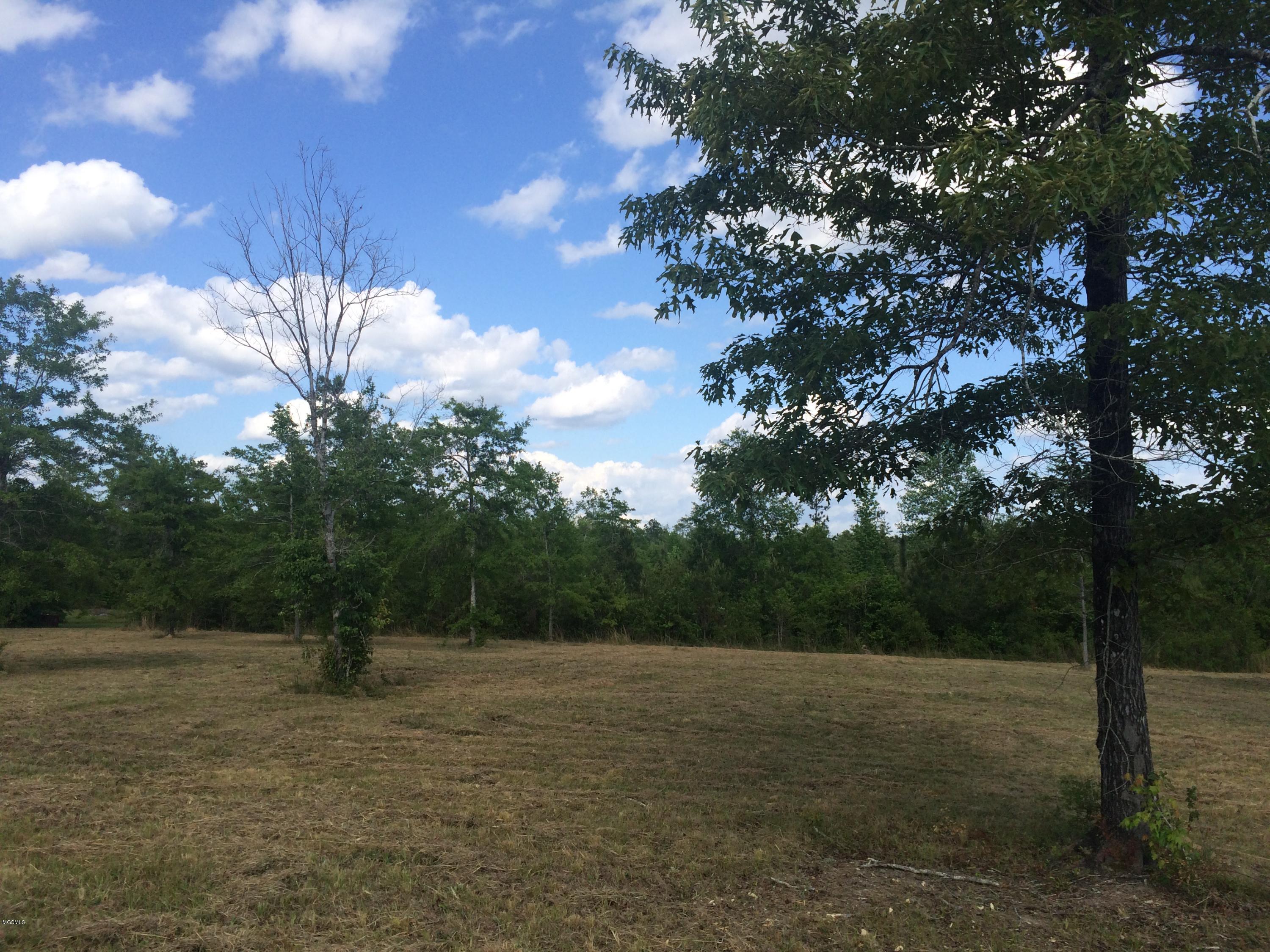 9.3-acres R Moran Road McHenry, MS 39561 - Photo 14 of 17 IMG_3590