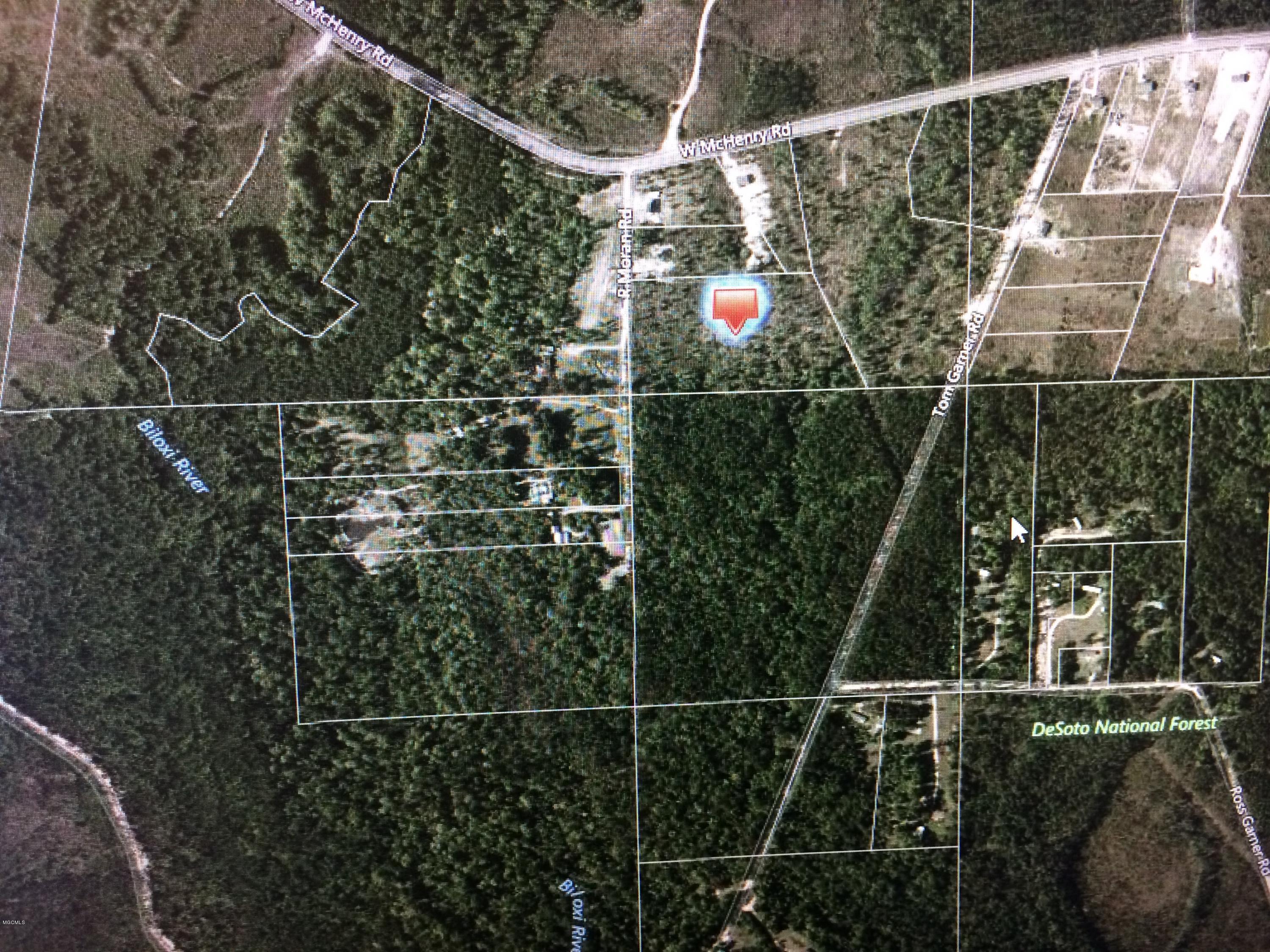 9.3-acres R Moran Road McHenry, MS 39561 - Photo 16 of 17 Additional Photo