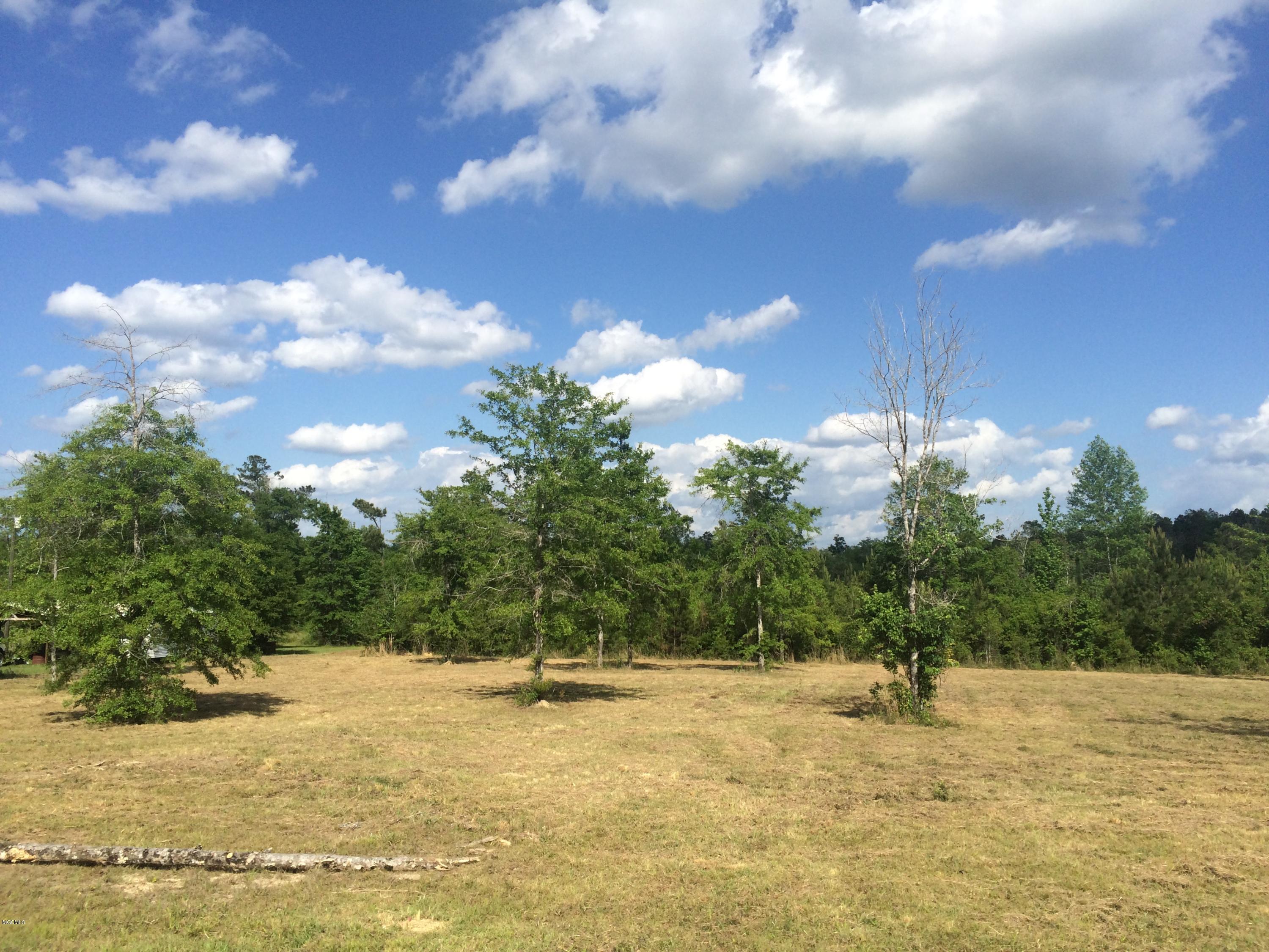 9.3-acres R Moran Road McHenry, MS 39561 - Photo 2 of 17 IMG_3581