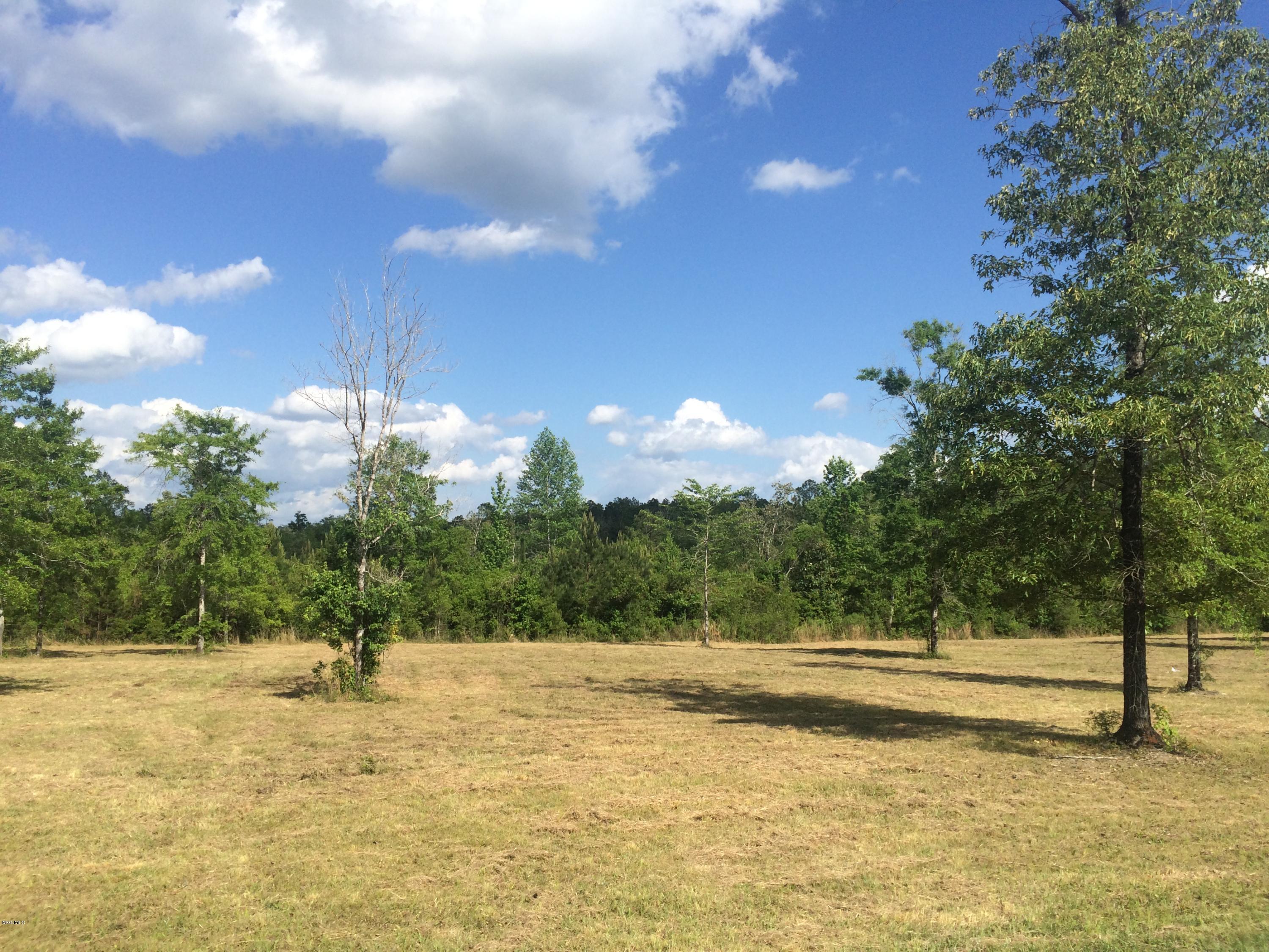 9.3-acres R Moran Road McHenry, MS 39561 - Photo 3 of 17 IMG_3582