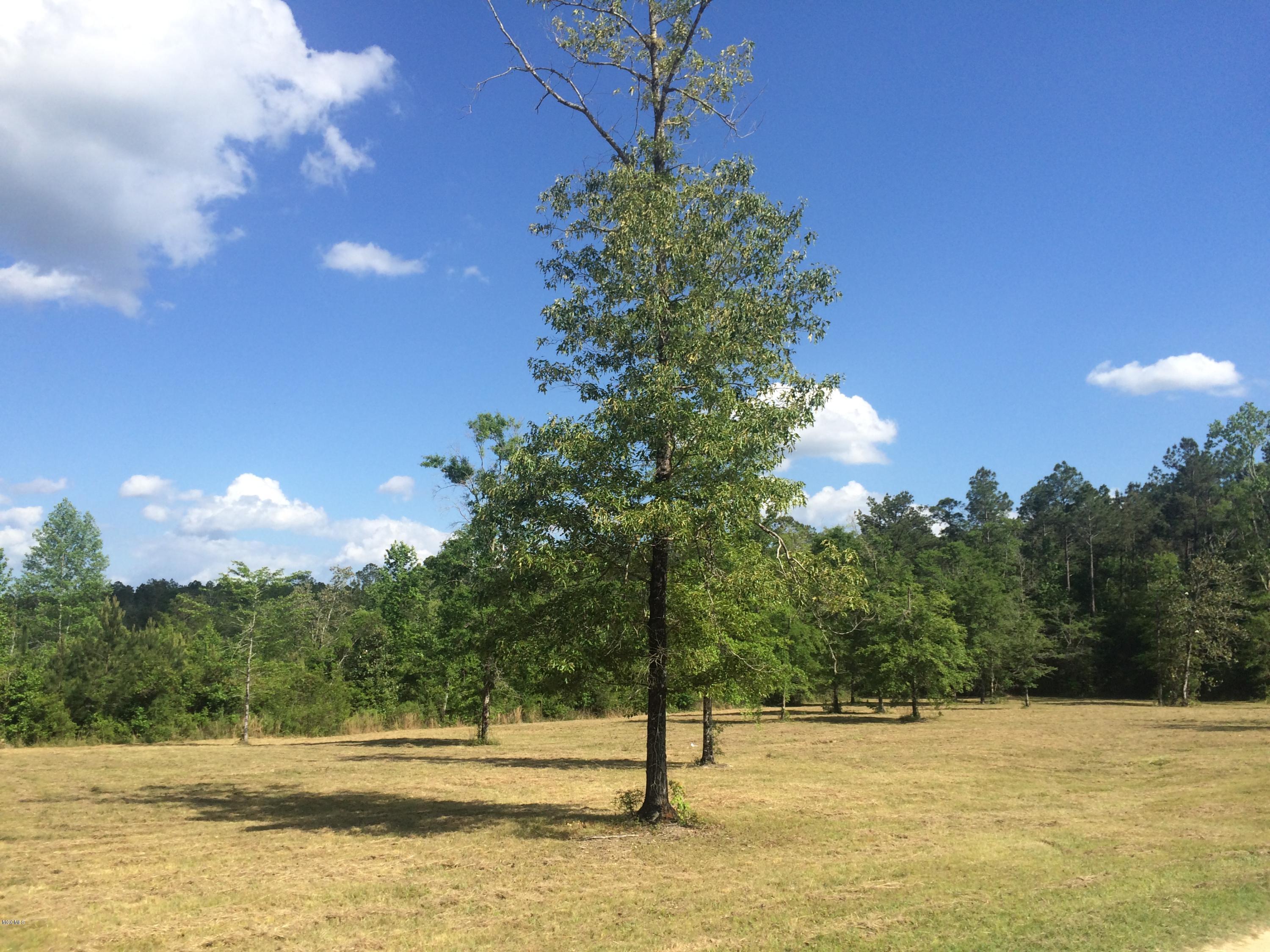 9.3-acres R Moran Road McHenry, MS 39561 - Photo 4 of 17 IMG_3583