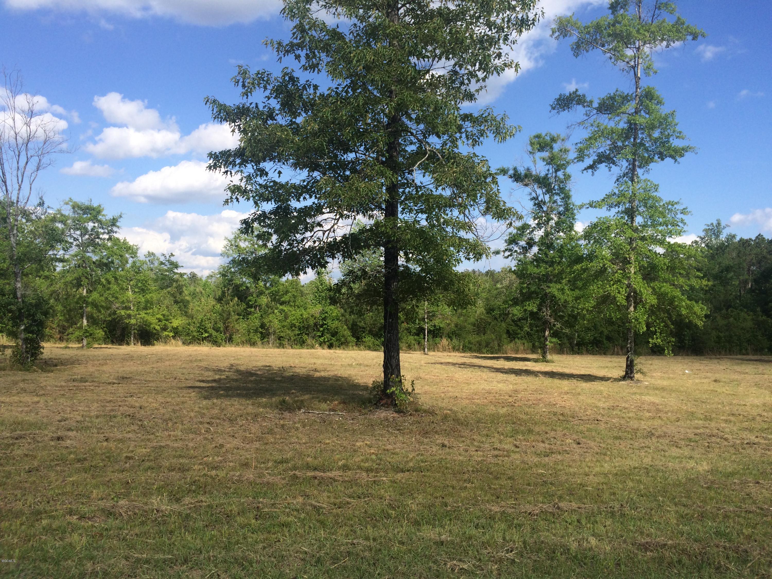 9.3-acres R Moran Road McHenry, MS 39561 - Photo 5 of 17 IMG_3575