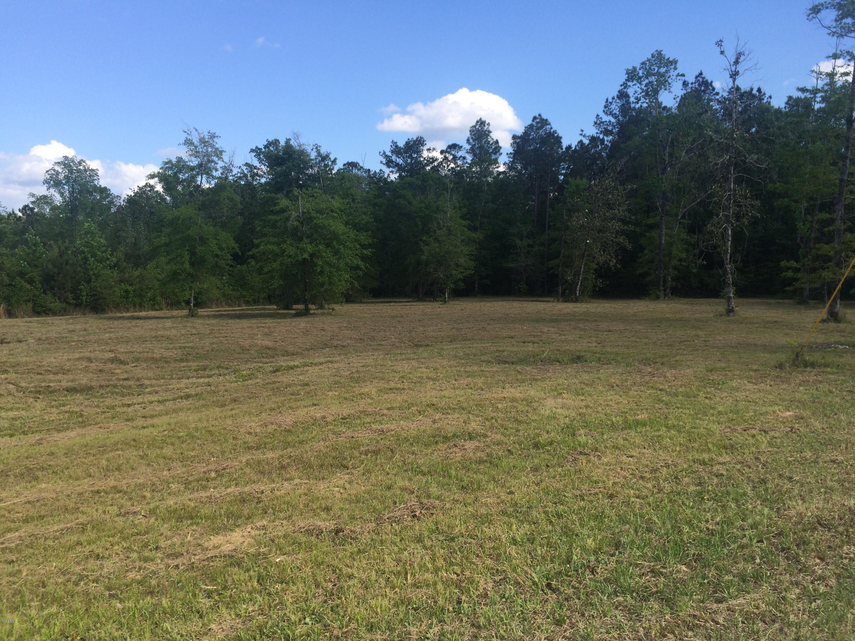 9.3-acres R Moran Road McHenry, MS 39561 - Photo 6 of 17 IMG_3576