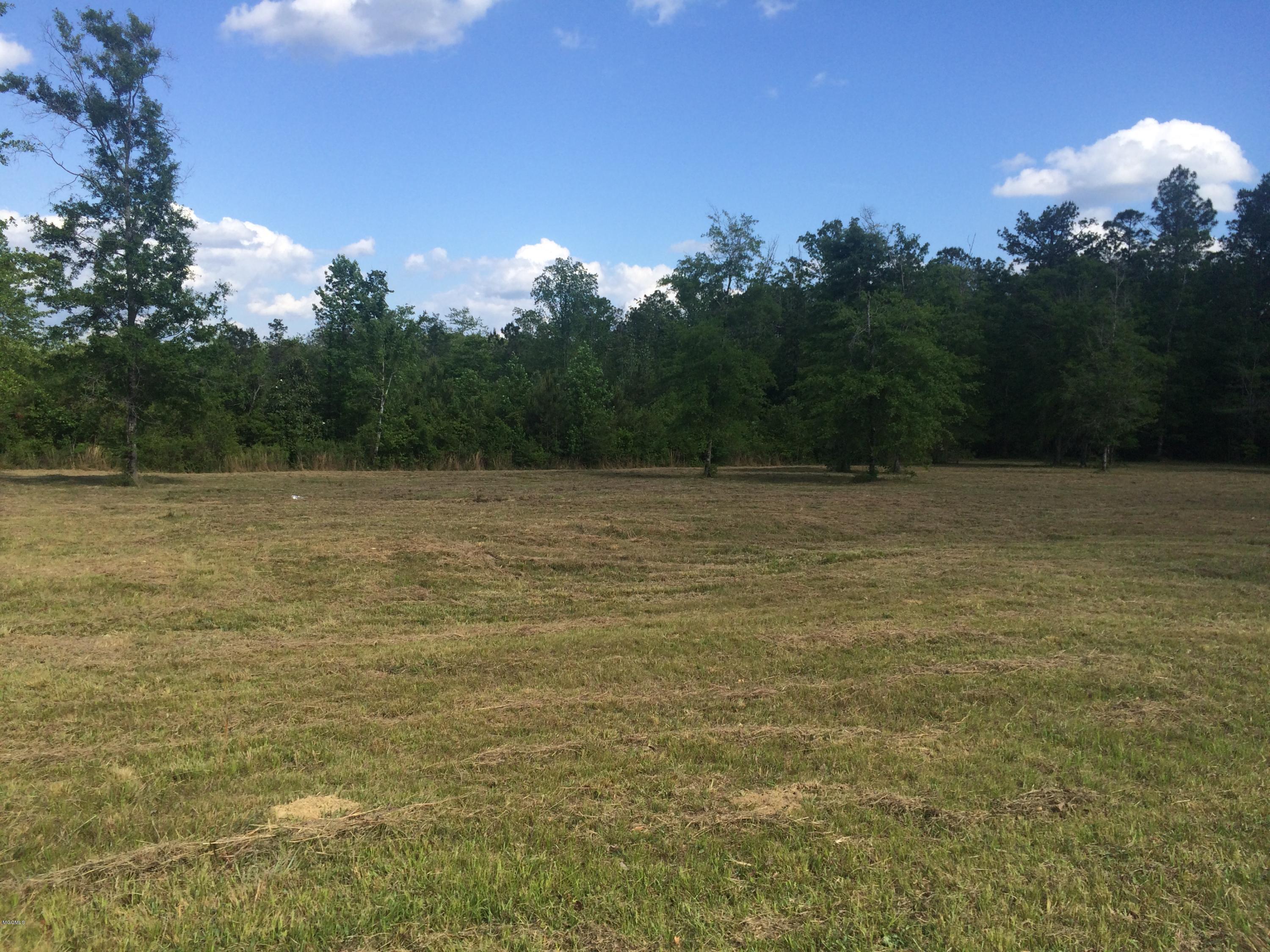 9.3-acres R Moran Road McHenry, MS 39561 - Photo 7 of 17 IMG_3577